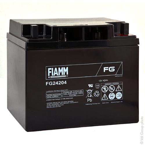 Batterie plomb AGM FG24204 12V 42Ah M6-M photo du produit 1 L