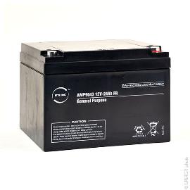 Batterie plomb AGM NX 24-12 General Purpose FR 12V 24Ah M5-F photo du produit