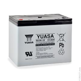 Batterie plomb AGM YUASA REC80-12 12V 80Ah M6-F photo du produit