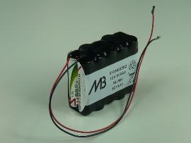Batterie Nimh 10x AAA 10S1P ST2 12V 800mAh F100 photo du produit